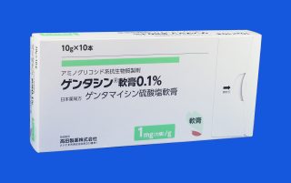 ゲンタシン軟膏0.1%の包装写真